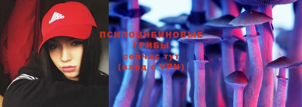 a pvp Кукмор