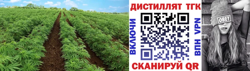 ссылка на мегу сайт  Санкт-Петербург  ТГК THC oil 