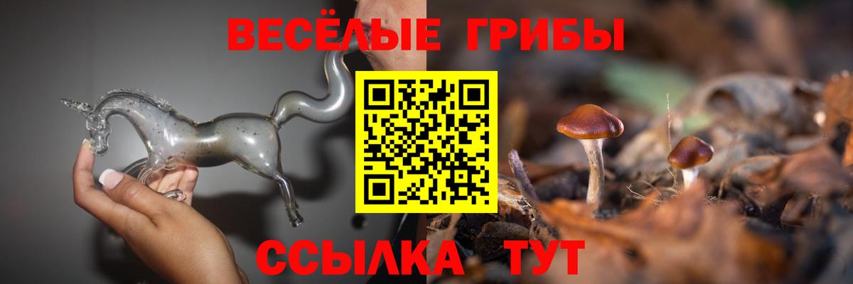 Санкт-Петербург  Галлюциногенные грибы Psilocybine cubensis  Вход с VPN 
